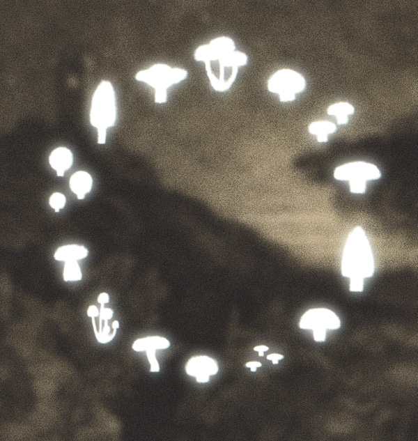 fairy ring